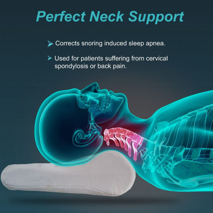 B08-Cervical-Pillow-Regular-2 B08-Cervical-Pillow-Regular-2