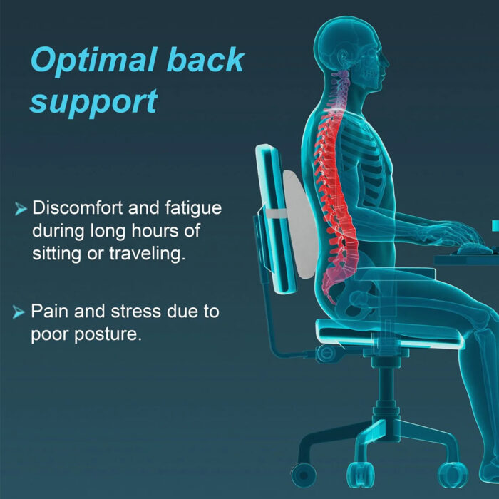 I91-Lumbo-Back-Rest---Urbane-2