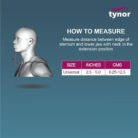 I94-Travel-Pillow-Urbane-4