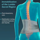 L01-Contoured-L.S.-Belt-M-(OAC)-2