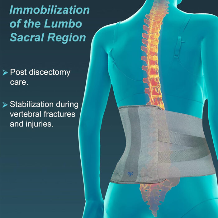 L01-Contoured-L.S.-Belt-M-(OAC)-2