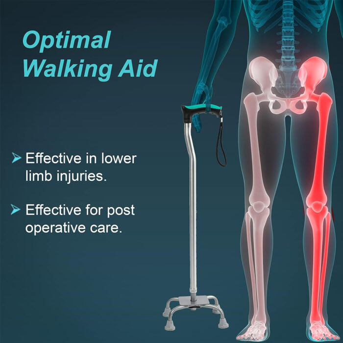L12-Walking-Stick-Quadripod-Universal-2