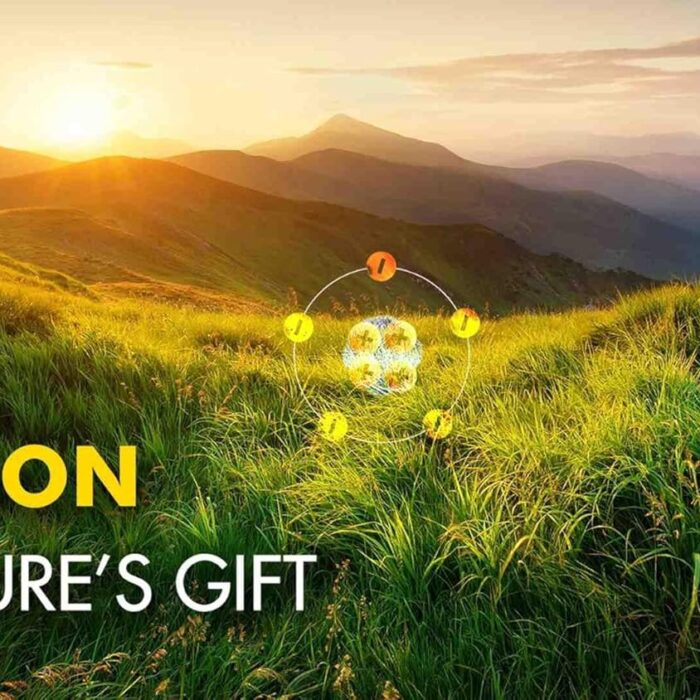 carensafe8 carensafe8